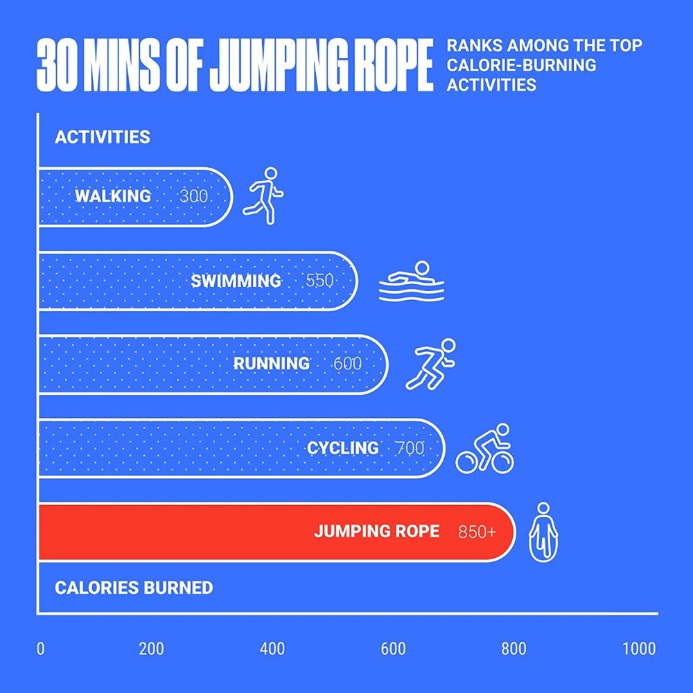 SPORTBIT Adjustable Jump Rope for Speed Skipping - Picture 5 of 6
